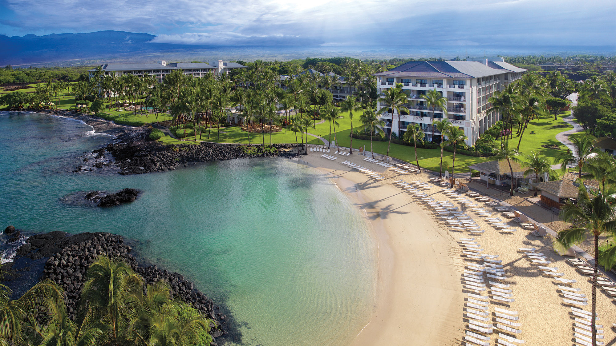 Guests can encounter the Hawaiian green sea turtle at the Fairmont Orchid.