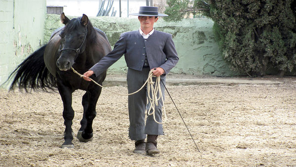 The Yeguada Torrehermosa farm breeds the “horse of kings.”