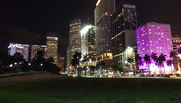 Downtown Miami's Bayside Park is framed by the InterContinental in the distance and YVE Hotel in the foreground. Downtown Miami's Bayside Park is framed by the InterContinental in the distance and YVE Hotel in the foreground.