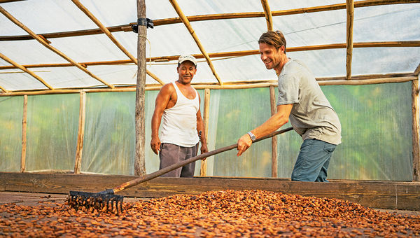 Harvesting cocoa will be one of the missions for Fathom guests. Harvesting cocoa will be one of the missions for Fathom guests.
