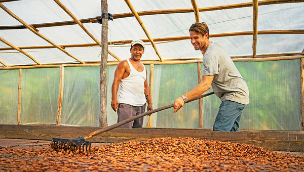 Harvesting cocoa will be one of the missions for Fathom guests. Harvesting cocoa will be one of the missions for Fathom guests.