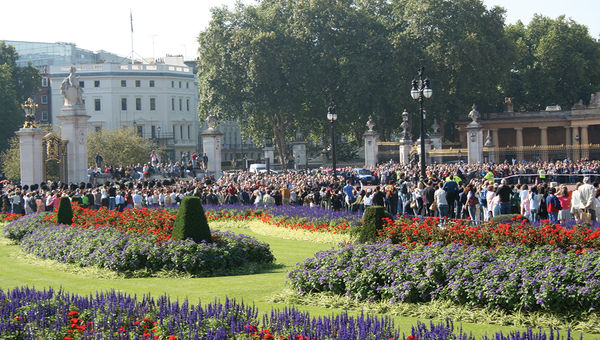 Throngs of tourists crowd the entry to Buckingham Palace in London to get a glimpse of the changing of the guards ceremony.