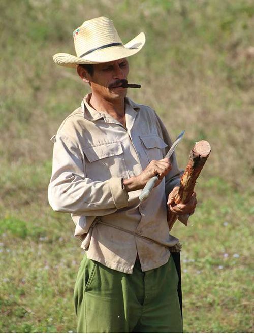 A Cuban farmer. A Cuban farmer.