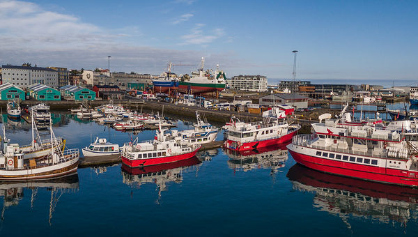 Built in the early 20th century, the Old Harbor remains a busy quarter of Reykjavik, with small fishing craft and puffin- and whale-watching boats coming and going. Built in the early 20th century, the Old Harbor remains a busy quarter of Reykjavik, with small fishing craft and puffin- and whale-watching boats coming and going.