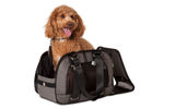 The Classic Carrier, from the aptly named LazyBonezz company, boasts breathable mesh panels for excellent visibility and ventilation; two sturdy handles and removable shoulder strap; a collar-to-leash attachment; a soft, removable bottom cushion; and an outside pocket for pet and owner essentials. At 15.5 by 7.25 by 10 inches, the Classic Carrier fits under most airline pet carrier restrictions. Materials used: faux leather, tweed, mesh and mixed metal.