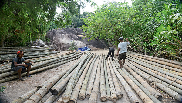 A total of about 50,000 pieces of bamboo will be used in the building of the 20-villa resort. A total of about 50,000 pieces of bamboo will be used in the building of the 20-villa resort.