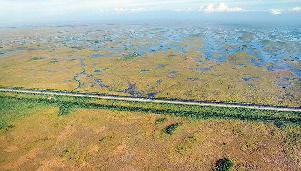 A highway blocks natural water flow south in the Everglades, leaving the park below the road parched while areas north are inundated with water.