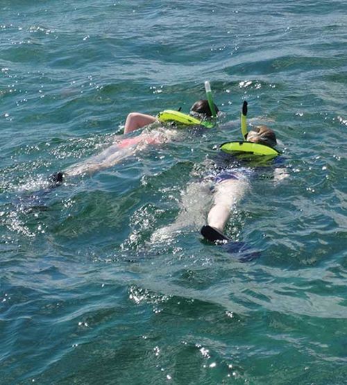 Snorkelers swim in the water off Key West.