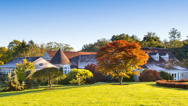 The Mayflower Grace in Connecticut is one of the luxury resorts that has begun offering forest bathing to guests. The Mayflower Grace in Connecticut is one of the luxury resorts that has begun offering forest bathing to guests.