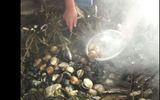 A clambake, Chiloe Island style, courtesy of farmer-turned-agritourism practitioner Maria Louisa Moldovano, who runs a tourist hotel in a rural part of the island.
