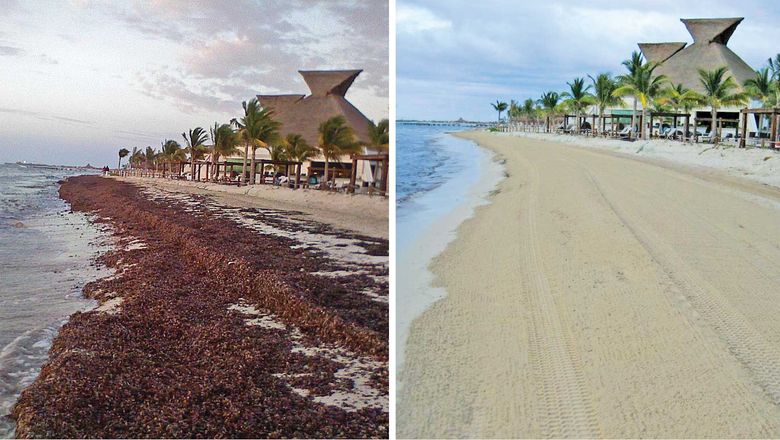 The beach at the Rosewood Mayakoba on the Riviera Maya before and after a SurfRake machine cleanup.