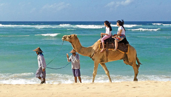 Riding a camel on the beach at the Ritz-Carlton Bali. The expansive resort sprawls over 30-plus acres. Most of the 34 villas are near the beach, but a few of the larger units perch on a cliff.