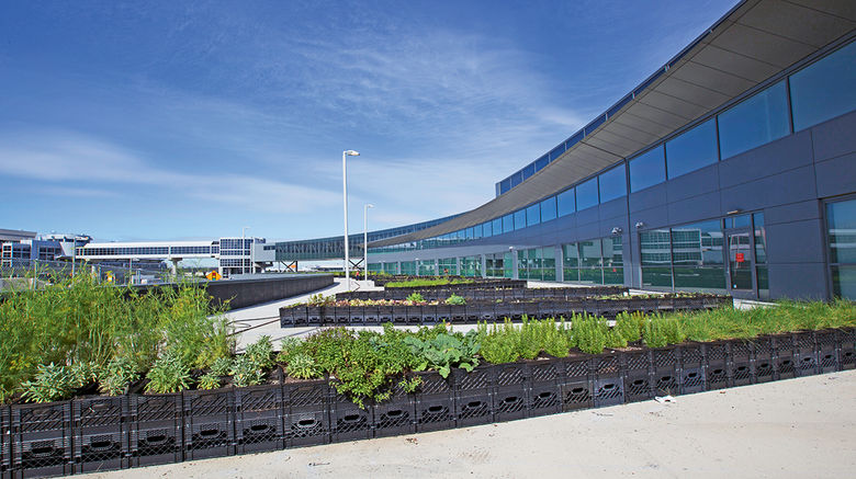 For today's traveler, the airport is often thought of as a place to get in and out of as quickly as possible. But many airports are spending big bucks to take the pain out of travel and in the process have become destinations in and of themselves: Think close-in parking, a range of dining options and a greater sense of space and place. Pictured here, JetBlue Airways grows herbs and plants at New York JFK terminal.