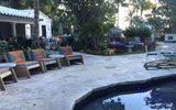 The verdant beachside space at the Thompson is decked out in cheerful colors.