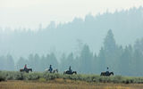 At Paws Up, a luxury dude ranch in Montana's Big Sky country, tenderfoots will find a level of challenge that best suits them, whether they fancy themselves a budding Billy Crystal or a John Wayne wannabe. Pictured here, guests on a trail ride.