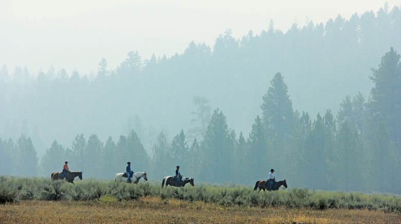 At Paws Up, a luxury dude ranch in Montana's Big Sky country, tenderfoots will find a level of challenge that best suits them, whether they fancy themselves a budding Billy Crystal or a John Wayne wannabe. Pictured here, guests on a trail ride.
