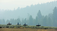 At Paws Up, a luxury dude ranch in Montana's Big Sky country, tenderfoots will find a level of challenge that best suits them, whether they fancy themselves a budding Billy Crystal or a John Wayne wannabe. Pictured here, guests on a trail ride.