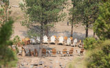 The fire pits went unlit at the height of last summer's fire season, but they still provided a social hub at the campgrounds.