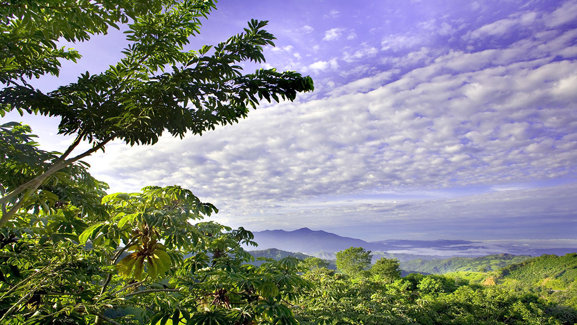 Costa Rica was not among the top 10 destinations in 2019, according to Squaremouth.com. In 2020, it was No. 3, behind only the U.S. and Mexico.