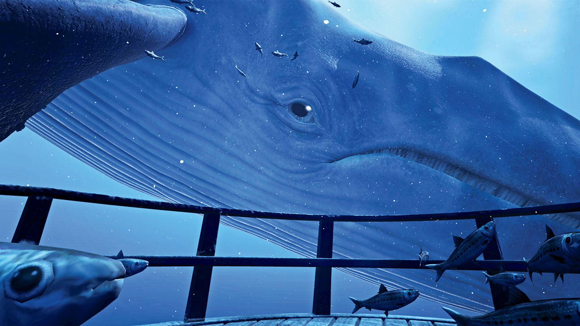 During HTC Vive’s VR demo TheBlu, users come face to face with a blue whale as well as other marine life.