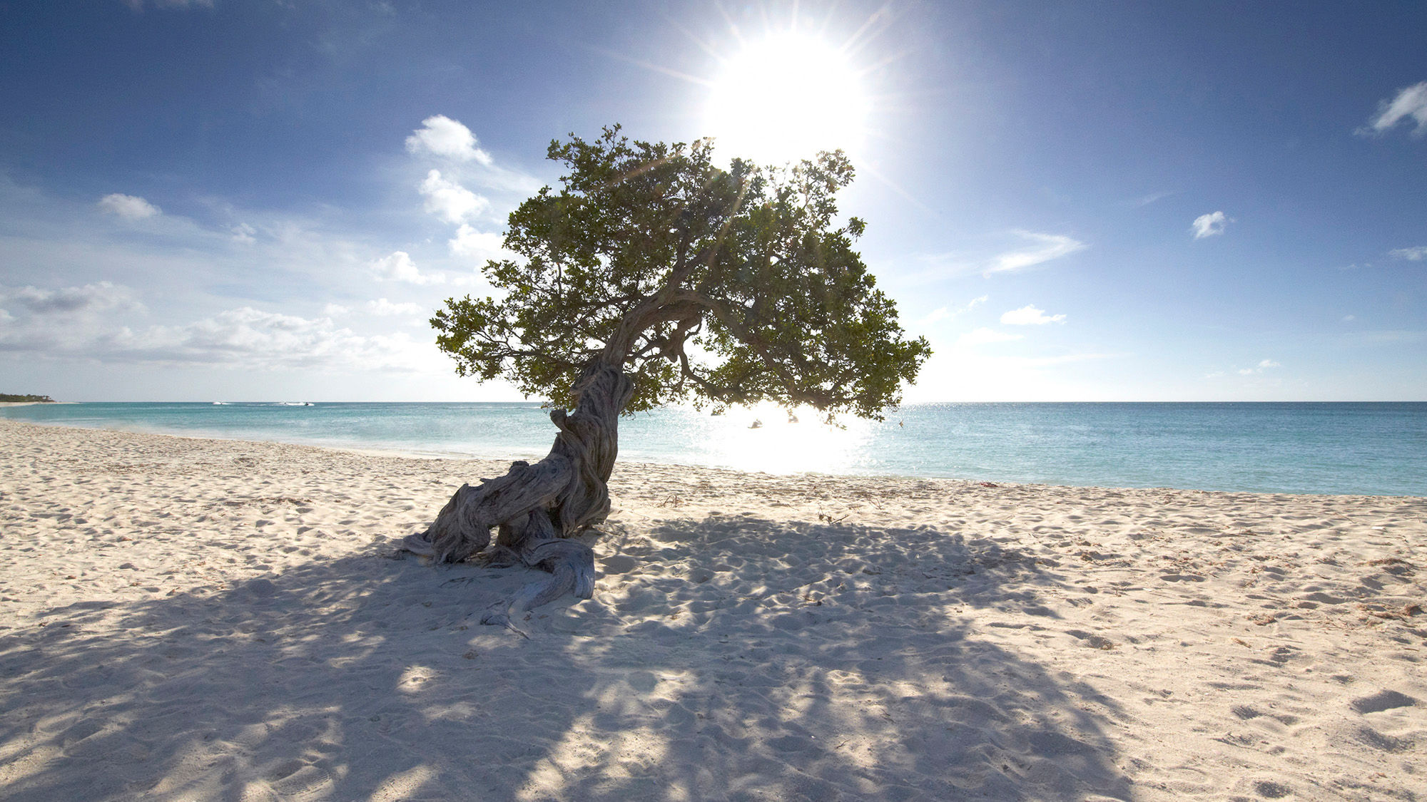 Aruba’s Malmok Beach offers a scenic jog for a morning run.