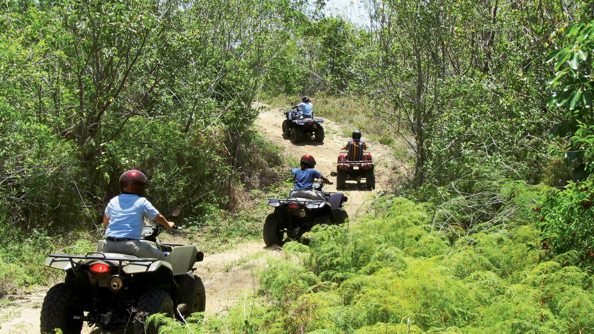 ATV tours explore the remote trails on the east and west ends of Grand Bahama Island.