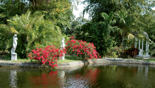 The beautiful Garden of the Groves is on Grand Bahama Island. The beautiful Garden of the Groves is on Grand Bahama Island.