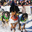 Iditarod revelry heats up Nome and Anchorage