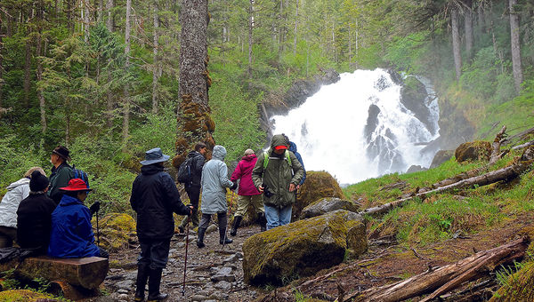 Hikers take an uphill trek to a waterfall in the forest near the Dawes Glacier, a stop on the Safari Explorer cruise. Hikers take an uphill trek to a waterfall in the forest near the Dawes Glacier, a stop on the Safari Explorer cruise.