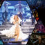 Pop stars in residence
