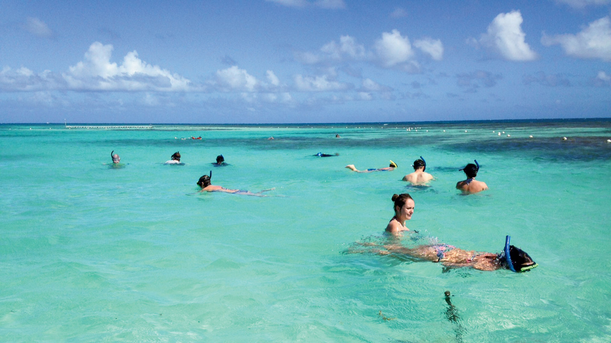 Snorkeling at Stingray City Antigua, which is in the middle of a marine park.
