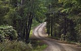 Award-winning photojournalist Steve McCurry found numerous interesting people and places to capture images of during his journey with travel essayist Paul Theroux. Theroux, who said the Deep South is not about the cities, but the small towns, the villages and back roads, enjoyed traveling those back roads, such as this one in the Ozarks near Lamar, Ark.