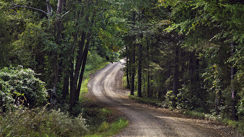 Award-winning photojournalist Steve McCurry found numerous interesting people and places to capture images of during his journey with travel essayist Paul Theroux. Theroux, who said the Deep South is not about the cities, but the small towns, the villages and back roads, enjoyed traveling those back roads, such as this one in the Ozarks near Lamar, Ark.
