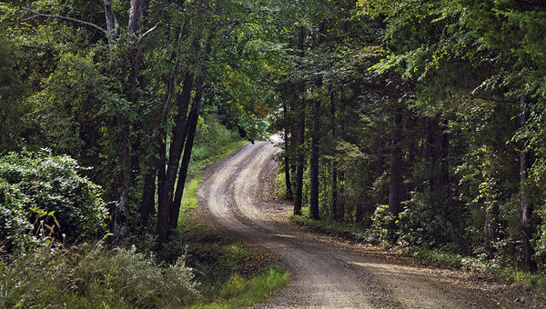 Paul Theroux enjoyed traveling the back roads in the Deep South, such as this one in the Ozarks near Lamar, Ark. Paul Theroux enjoyed traveling the back roads in the Deep South, such as this one in the Ozarks near Lamar, Ark.