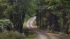 Traveling the Deep South