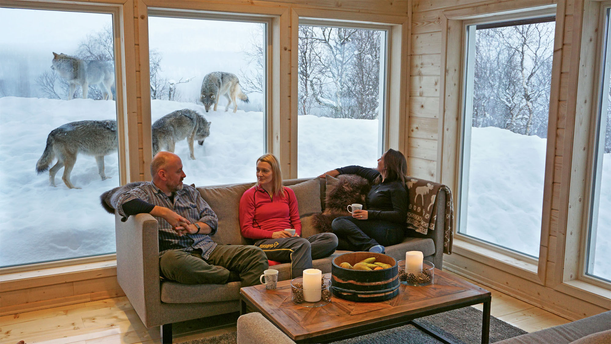 Where wolves and bears are travel companions