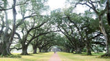 Plantations near New Orleans a must-see