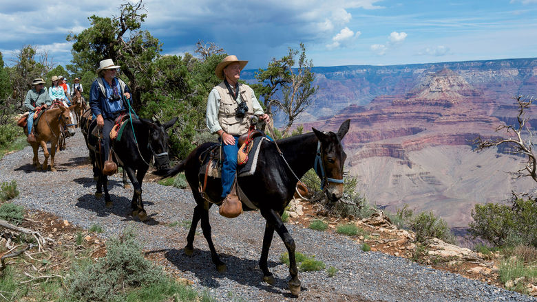 Visitors take a mule ride through Grand Canyon National Park.