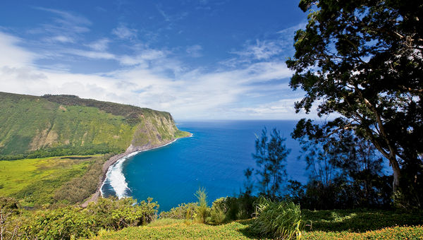 Waipio Valley, a popular visitor destination that civil defense officials closed during the dengue fever high point, reopened in mid-March. Waipio Valley, a popular visitor destination that civil defense officials closed during the dengue fever high point, reopened in mid-March.