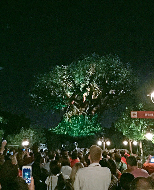 The Tree of Life will have a light show when Animal Kingdom extends its hours. The Tree of Life will have a light show when Animal Kingdom extends its hours.