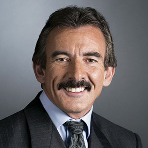 Christian Sauleau Christian Sauleau