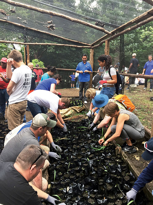 Fathom passengers work on an impact activity, preparing seedlings as part of a reforestation project. Fathom passengers work on an impact activity, preparing seedlings as part of a reforestation project.