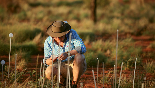 Bruce Munro, the creator of “Field of Light,” was inspired by a trip to Uluru, saying, “It got into my heart.” Bruce Munro, the creator of “Field of Light,” was inspired by a trip to Uluru, saying, “It got into my heart.”
