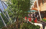 The Central Park neighborhood is an oasis of green within the ship.