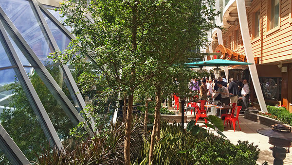 The Central Park neighborhood is an oasis of green within the ship. The Central Park neighborhood is an oasis of green within the ship.