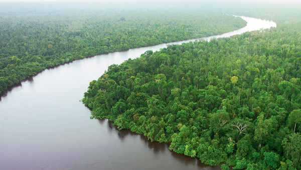 Pandaw River Expeditions has introduced an itinerary on the Kapuas River System in western Kalimantan, the Indonesian part of the island of Borneo. Pandaw River Expeditions has introduced an itinerary on the Kapuas River System in western Kalimantan, the Indonesian part of the island of Borneo.