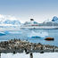 Focus on Cruise: Expeditionary force