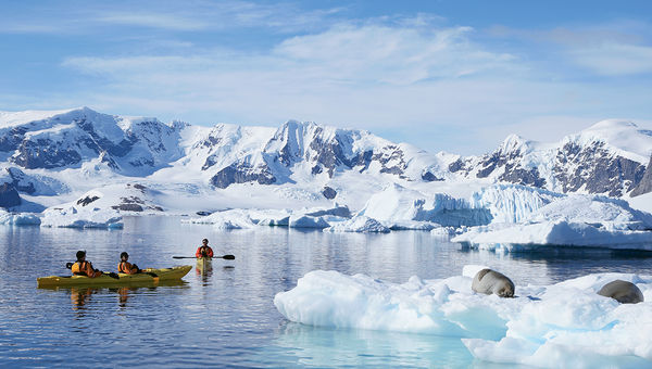 Kayakers from the Seabourn Quest get close to sea lions on an ice floe. Kayakers from the Seabourn Quest get close to sea lions on an ice floe.