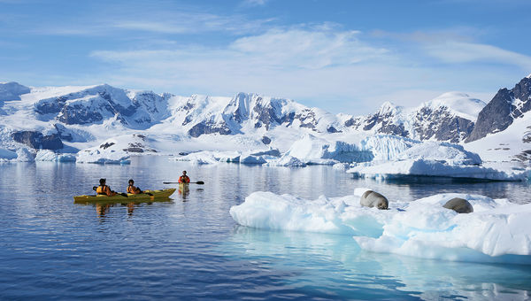 Kayakers from the Seabourn Quest get close to sea lions on an ice floe. Kayakers from the Seabourn Quest get close to sea lions on an ice floe.