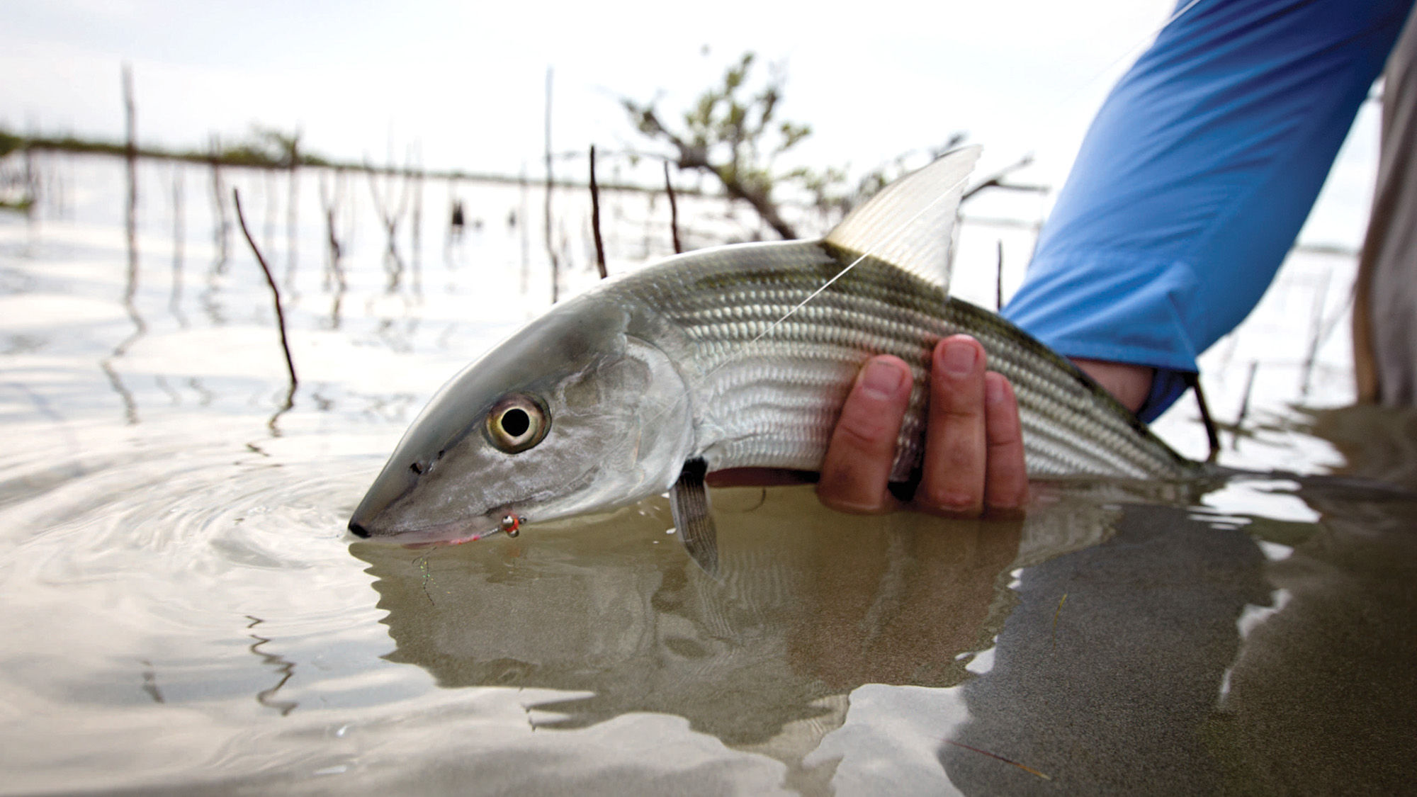 Fly-fishing outfitter to offer trips to Cuba
